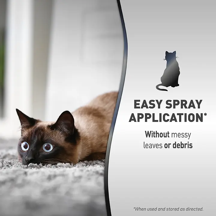 Catnip Training Spray 