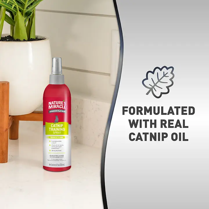 Catnip Training Spray with real catnip oil