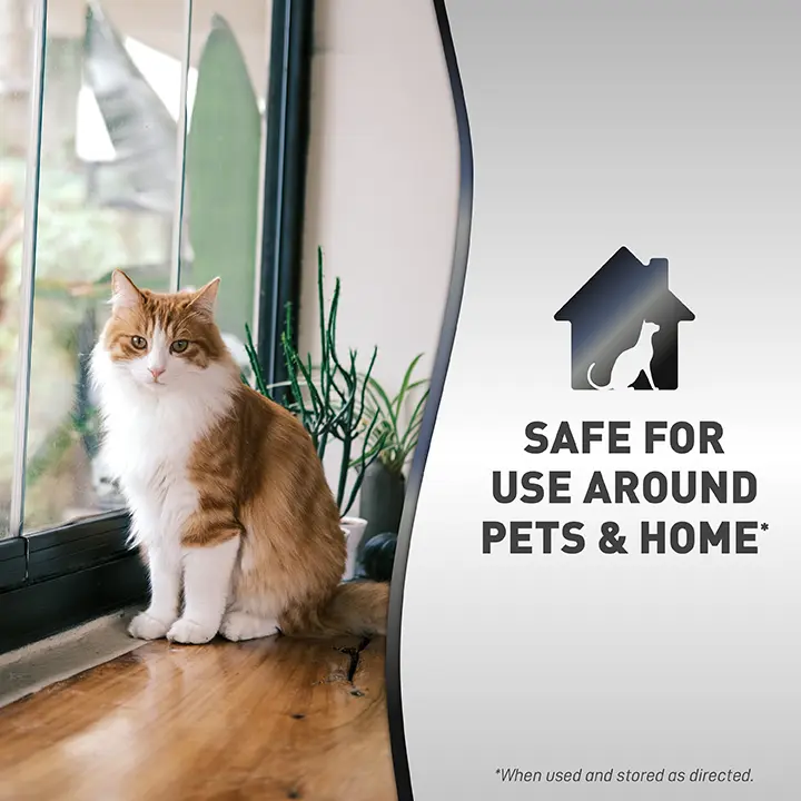 Catnip Training Spray safe for use