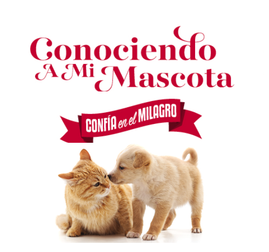 Banner_img_mobile