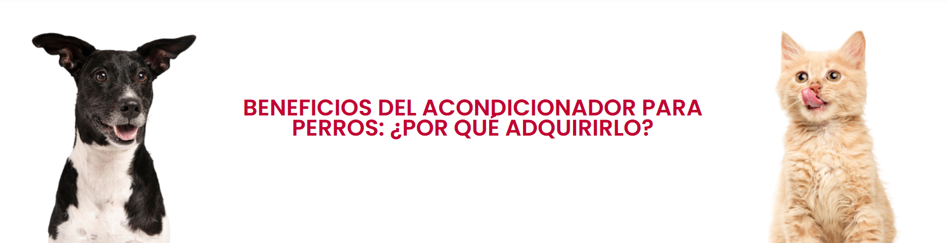 Beneficios del acondicionador para perros