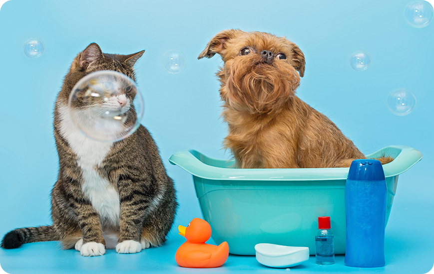 Higiene para mascotas