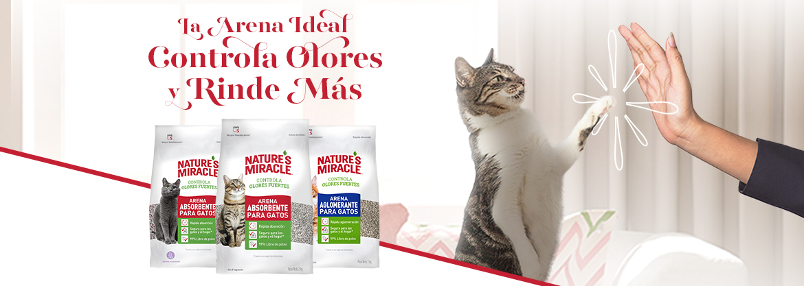 La Arena Ideal
