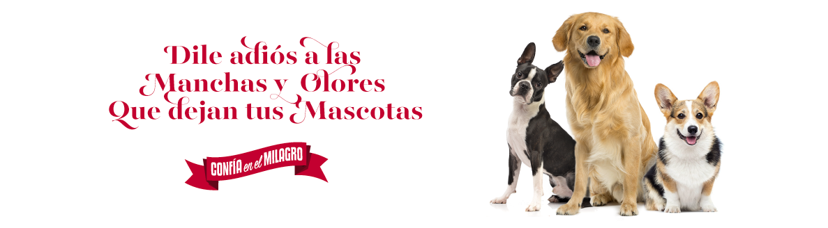 Dile adios a las Manchas y Olores