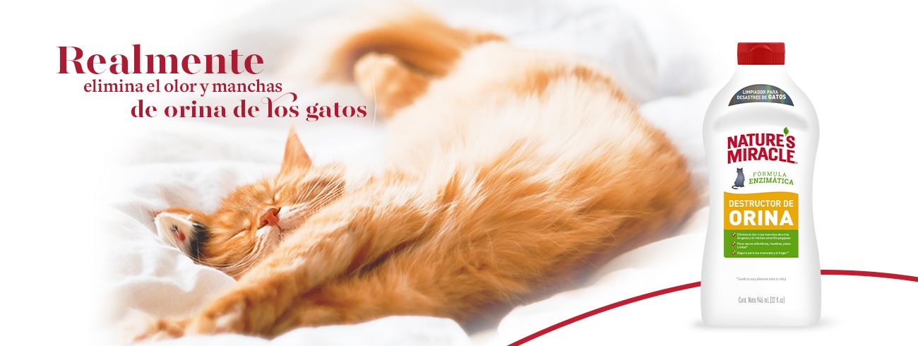 Realmente elimina el olor y manchas
