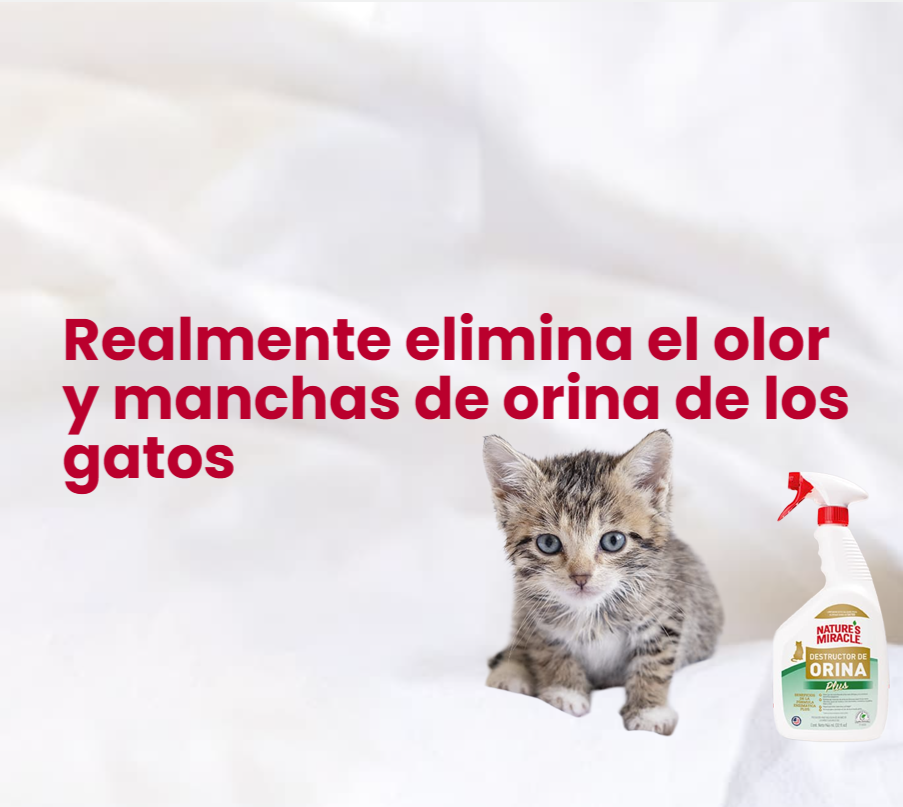 Controla olores y rinde mas - 25-02-2026 12-09-22_mobile