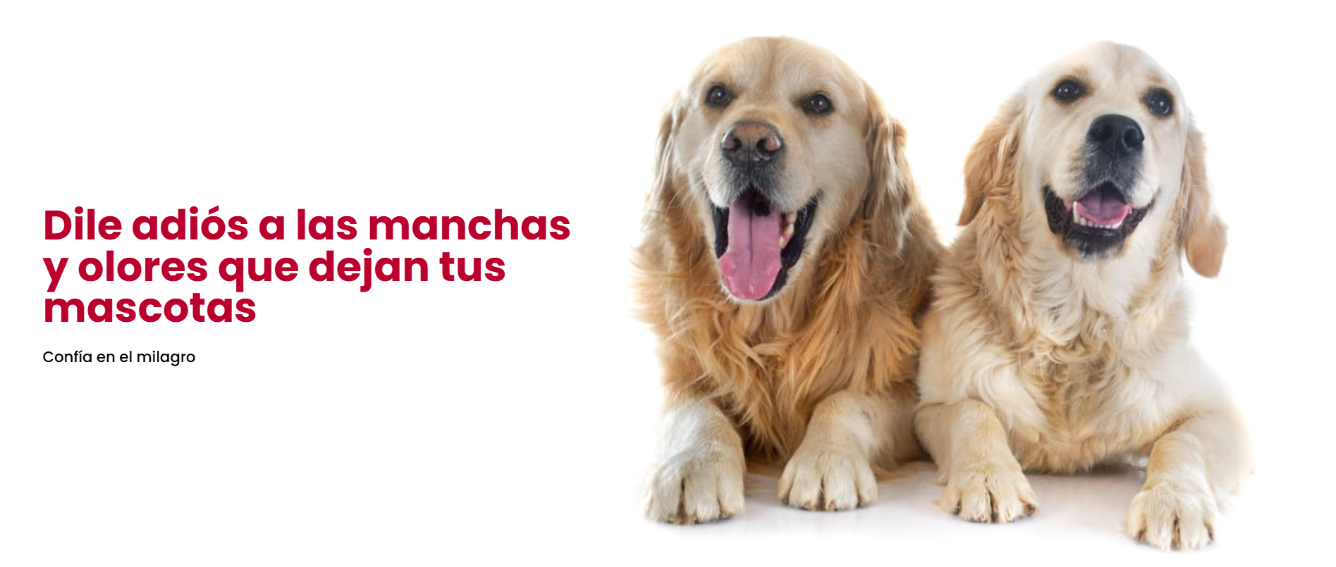 Dile adios a las manchas