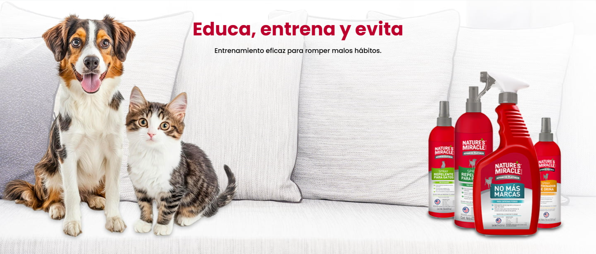 Educa entrena y evita