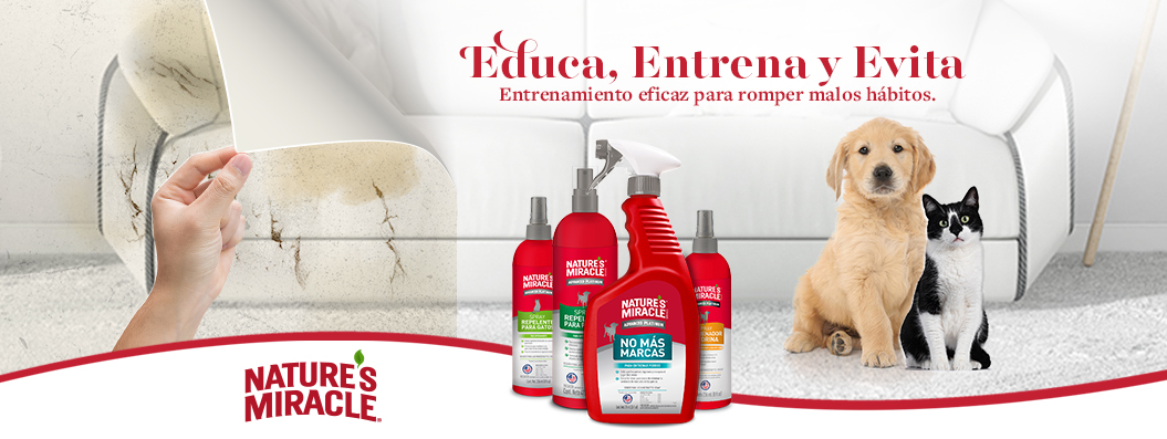 Educa Entrena y Evita
