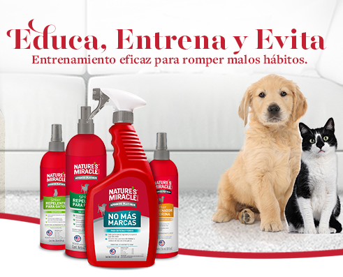 Web-Banner-NM-Training_mobile