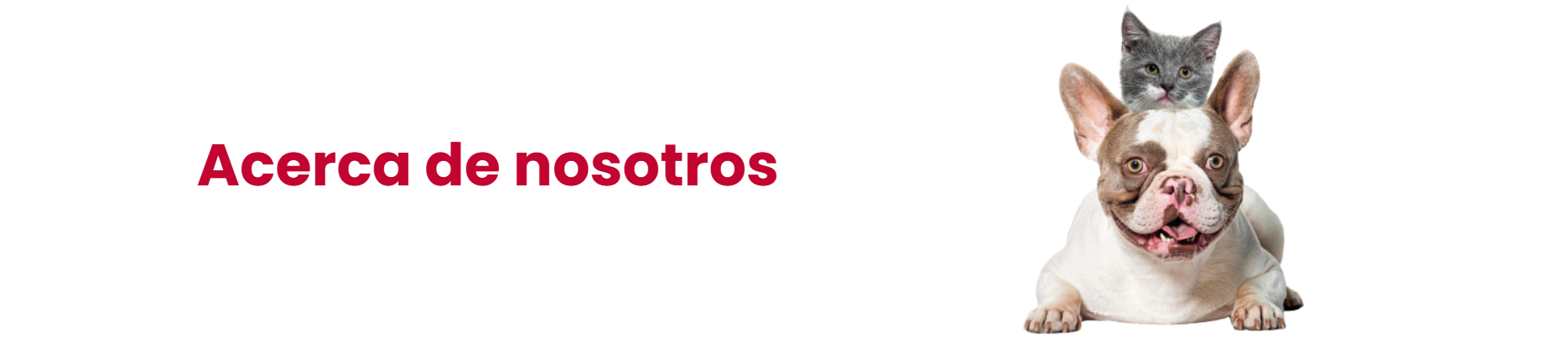 Acerca de Nosotros