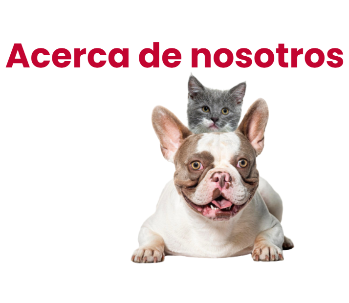 Banner_img - 25-02-2026 08-31-55_mobile2