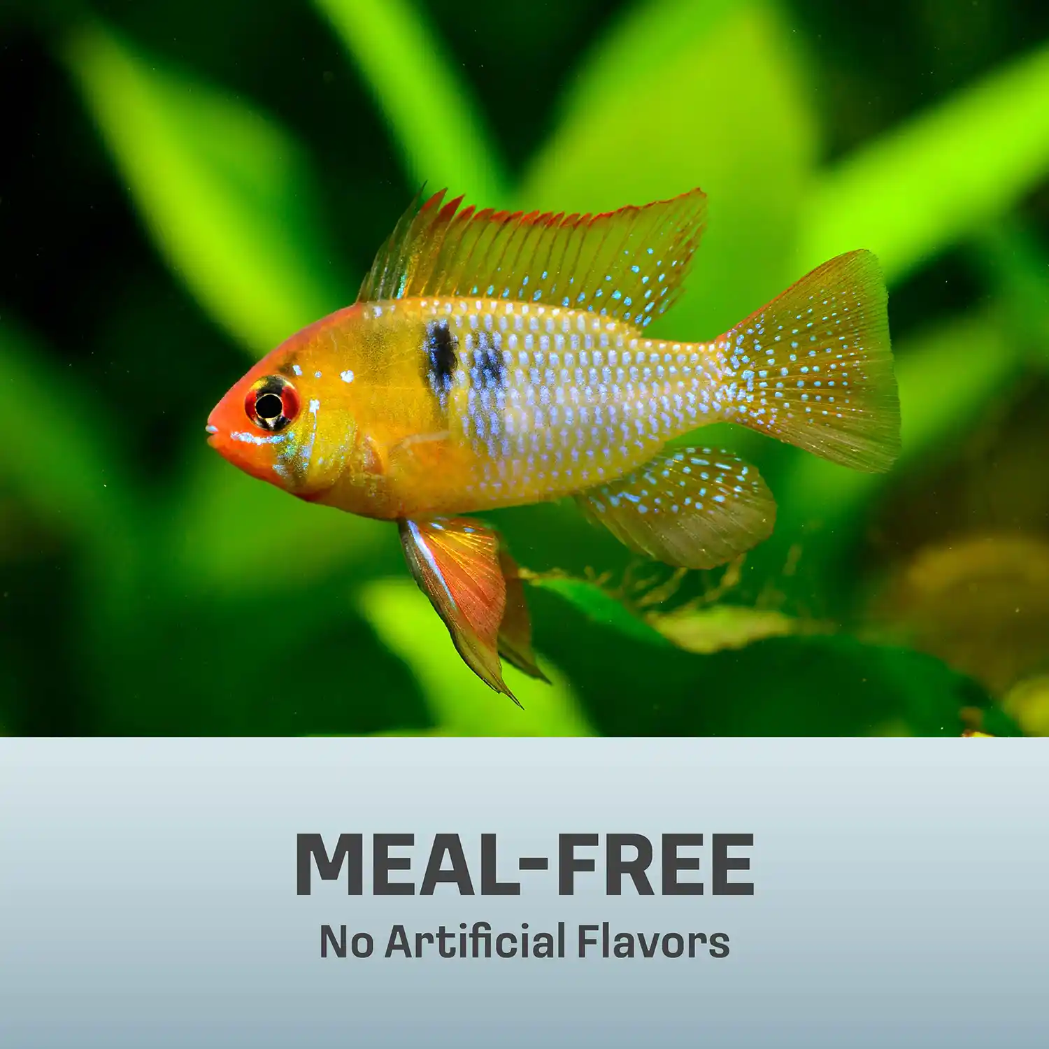 MEAL-FREE No Artificial Flavors