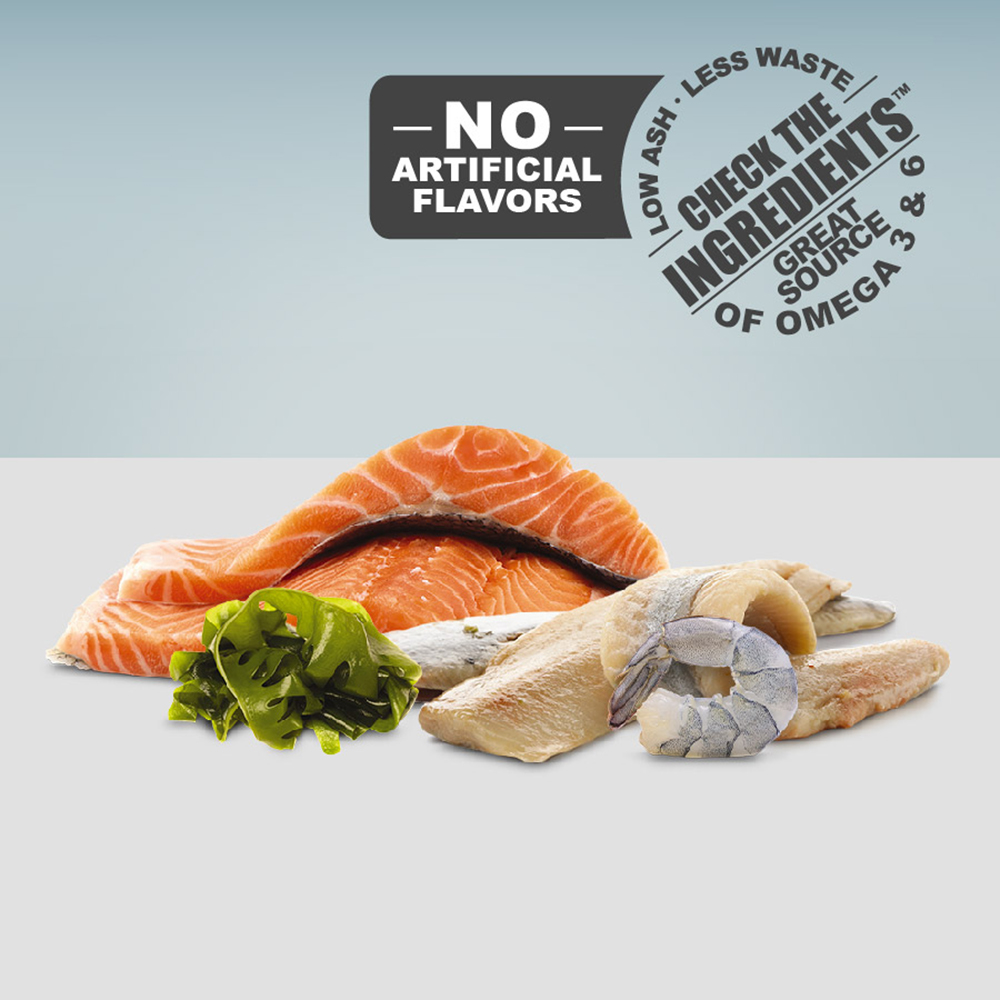 03361 Omega One Medium Goldfish Sinking Pellets 4.2 oz No Artificial Flavors