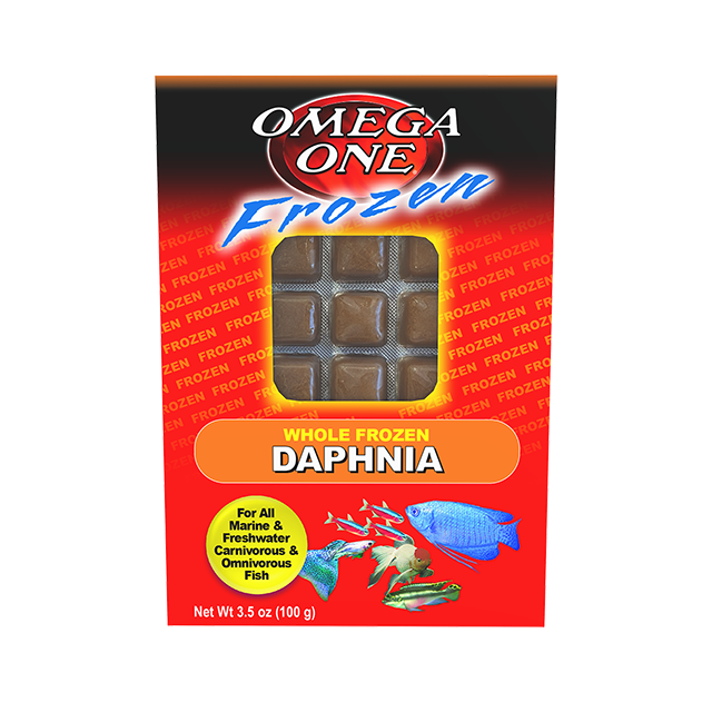 06111 Omega One Frozen Daphnia 3.5 oz Cubes Front