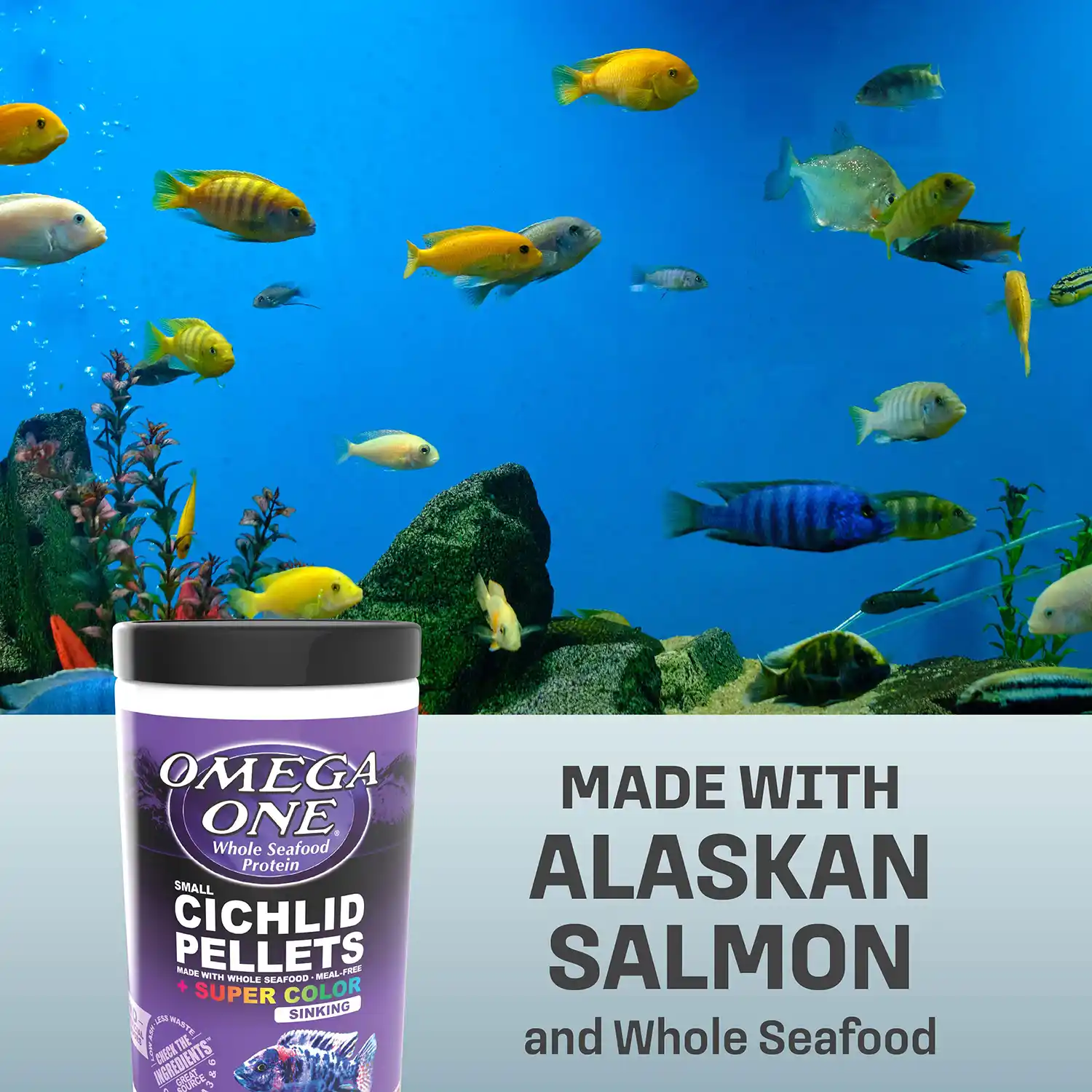 MADE WITH ALASKAN SALMON and Whole Seafood