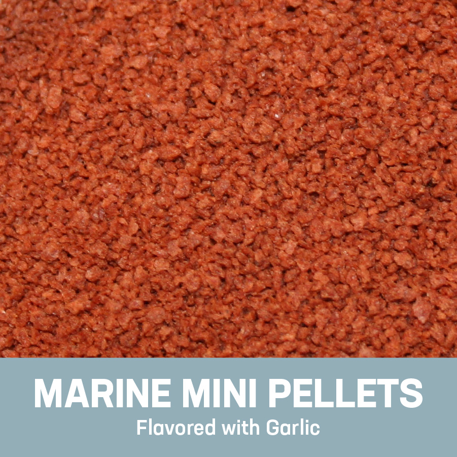61211 Marine Mini Pellets Out of Pack