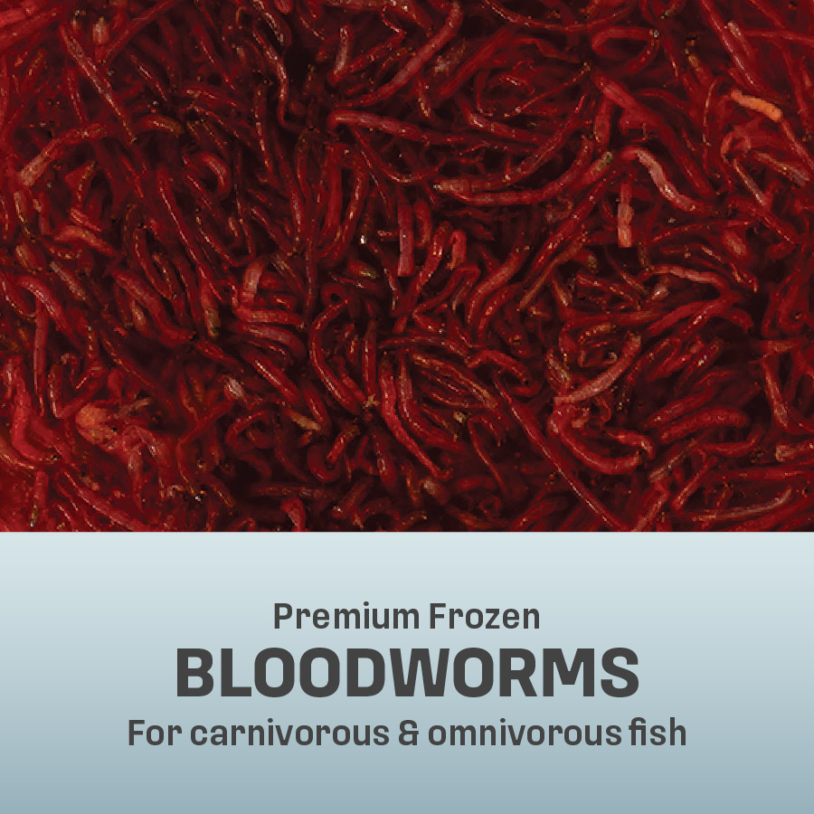 OO-70019 Omega One Premium Frozen Bloodworms, 4 Ounces, 30 Individual Quick-Thaw Pods - Out of Pack