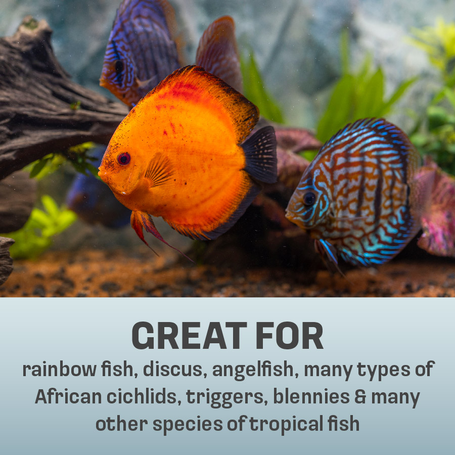 OO-70019 Omega One Premium Frozen Bloodworms, 4 Ounces, 30 Individual Quick-Thaw Pods - Great For