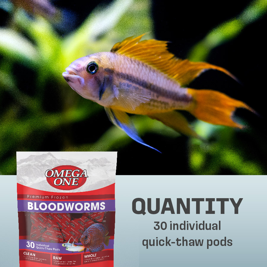 OO-70019 Omega One Premium Frozen Bloodworms, 4 Ounces, 30 Individual Quick-Thaw Pods - Quantity