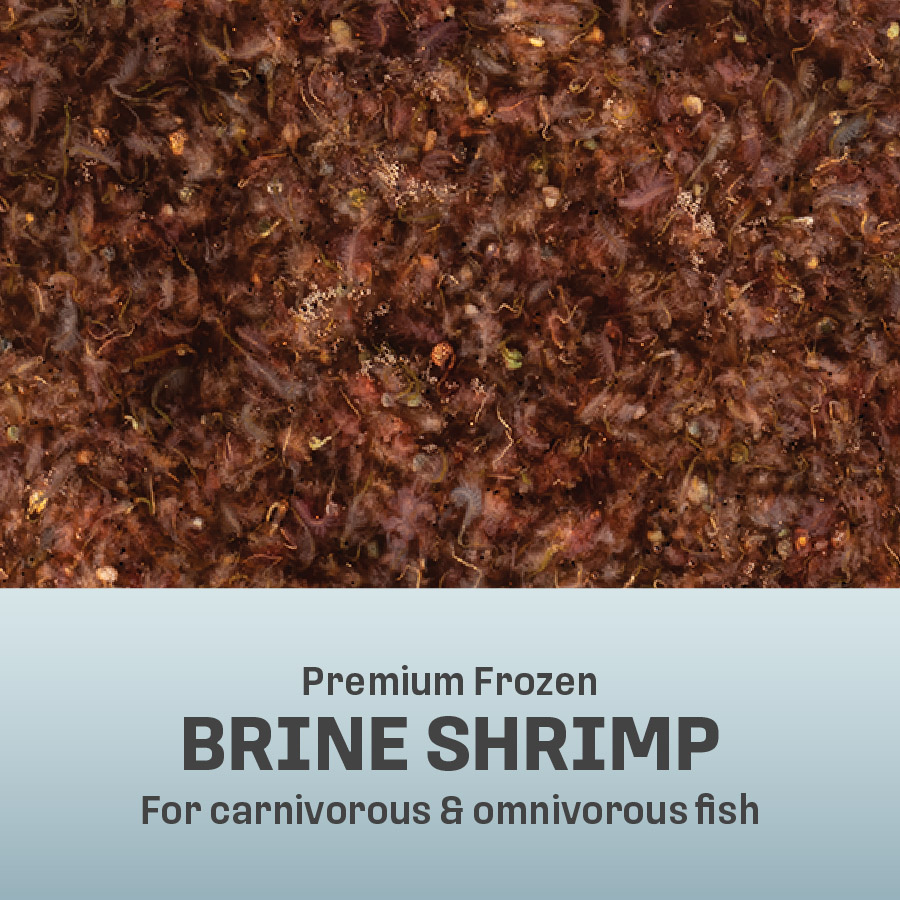 OO-70020 Omega One Premium Frozen Brine Shrimp, 4 Ounces, 30 Individual Quick-Thaw Pods - Out of Pack