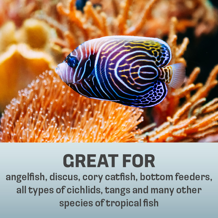 OO-70020 Omega One Premium Frozen Brine Shrimp, 4 Ounces, 30 Individual Quick-Thaw Pods - Great For