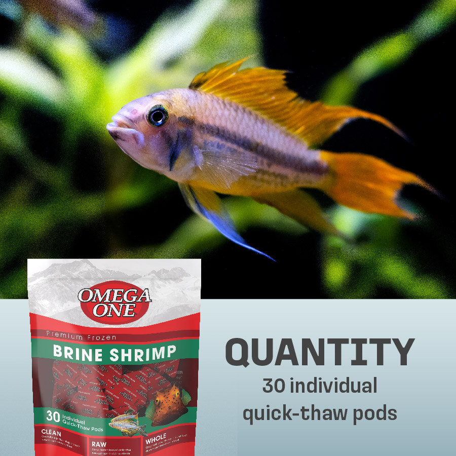 OO-70020 Omega One Premium Frozen Brine Shrimp, 4 Ounces, 30 Individual Quick-Thaw Pods - Quantity