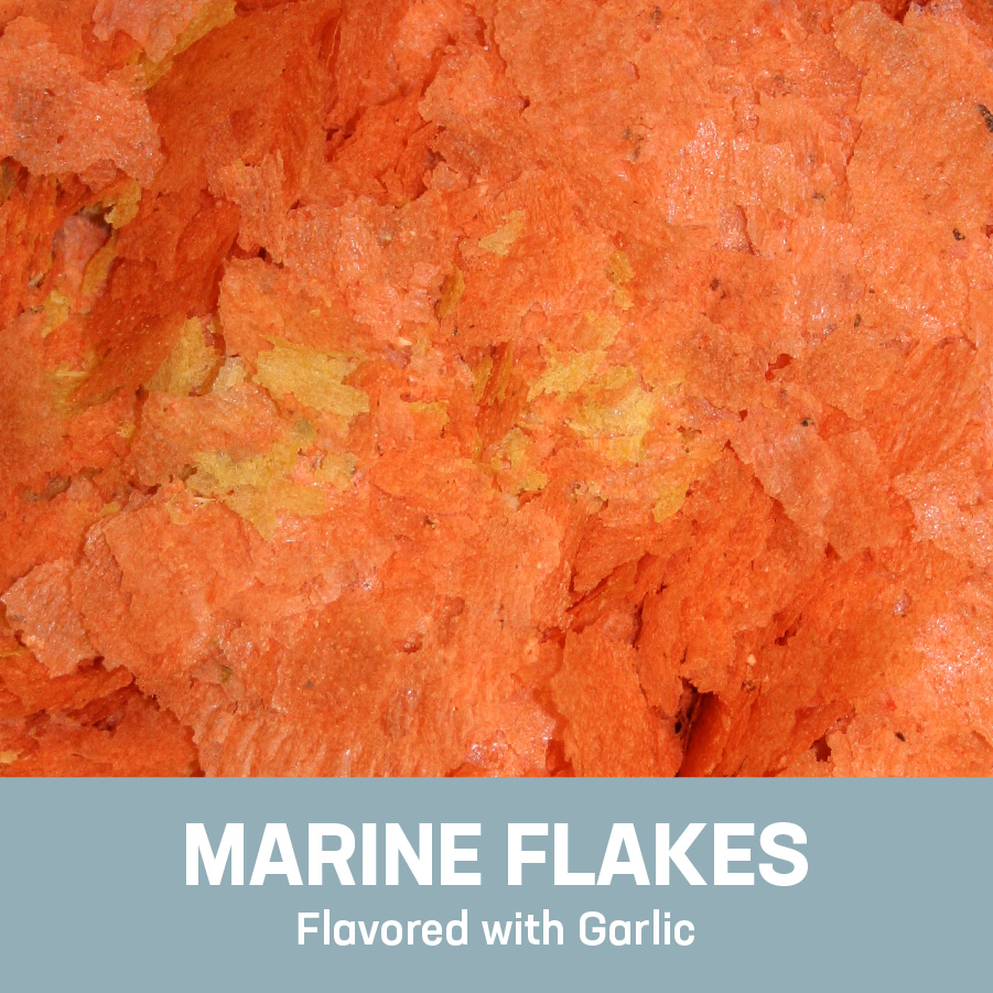 01381 Garlic Marine Flakes 10 oz Out of Pack