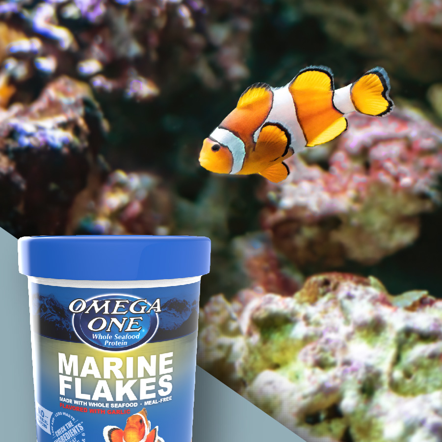 01381 Garlic Marine Flakes 10 oz Lifestyle