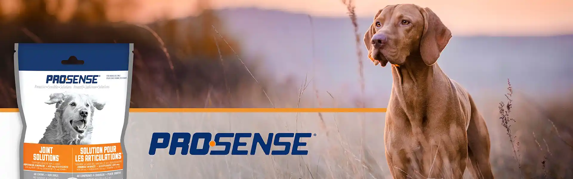 ProSense Banner
