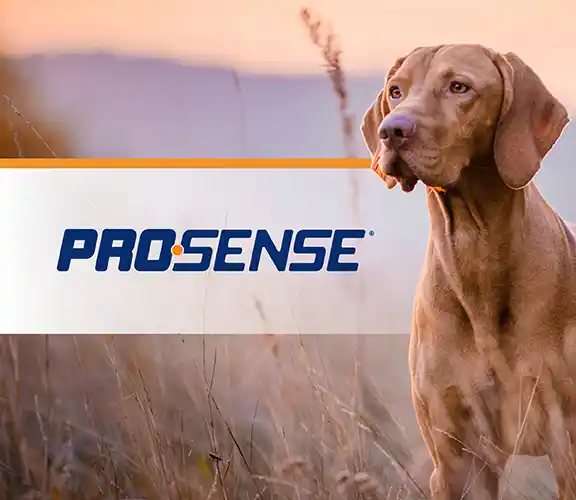 ProSense Banner Mobile