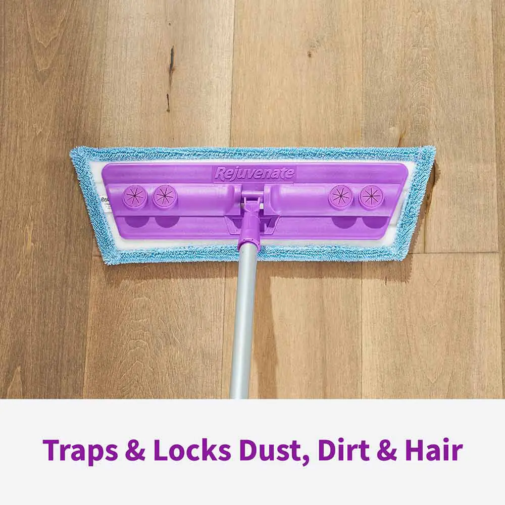 Traps Dust