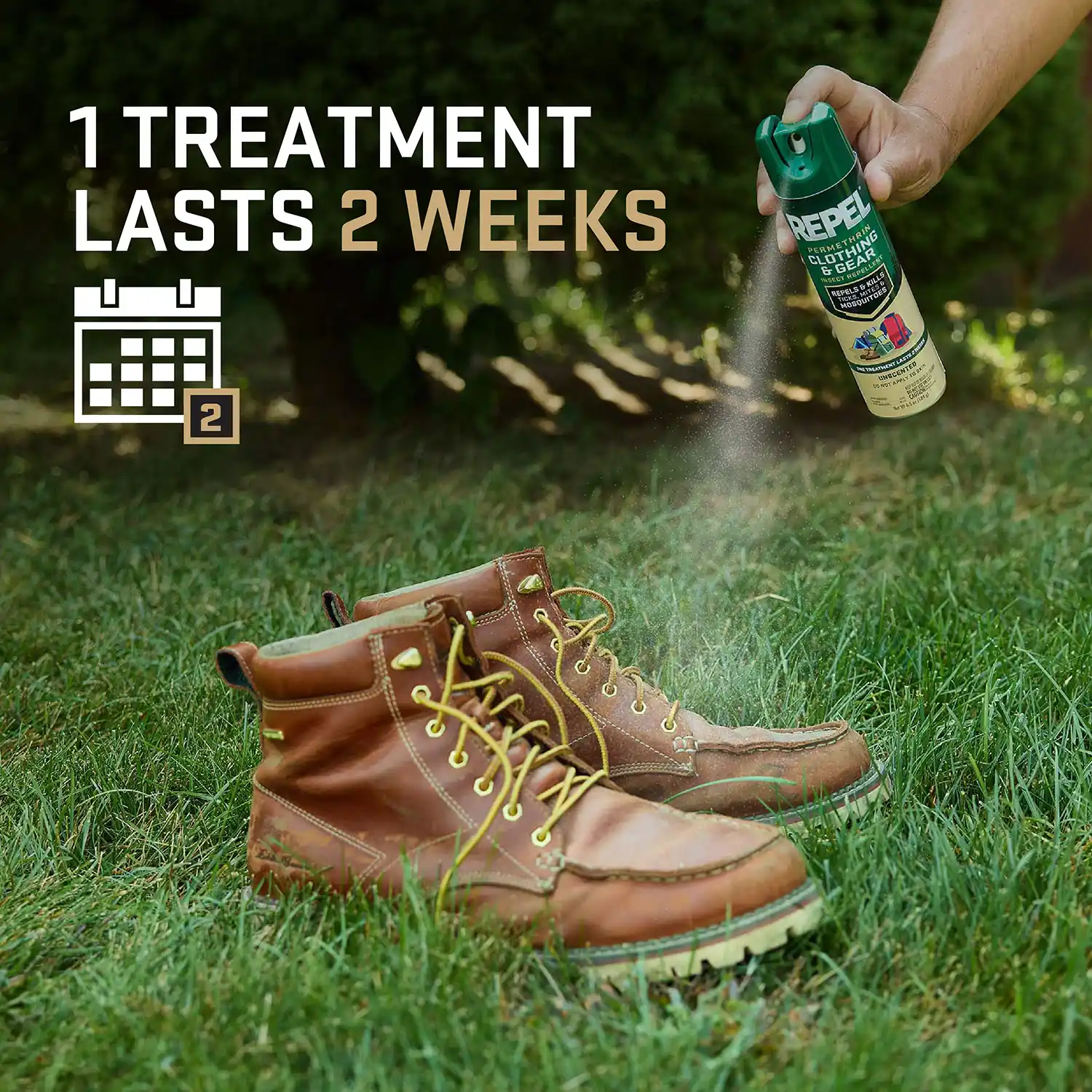 1TREATMENT LASTS 2 WEEKS