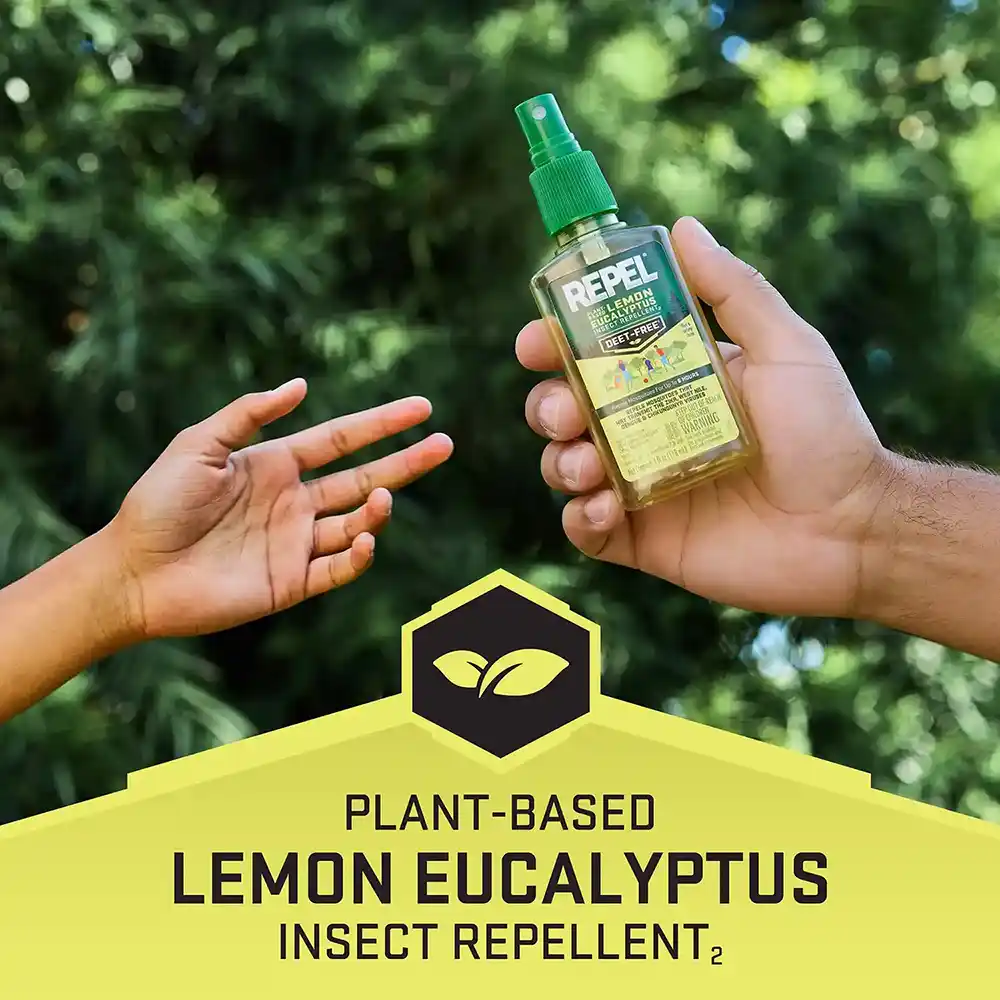 Lemon Eucalyptus