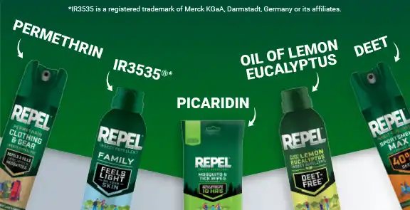 Active ingredients Mobile