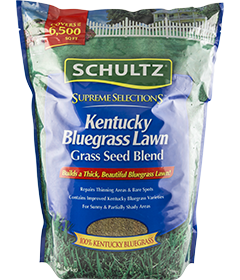Supreme Selections™ Kentucky Bluegrass Grass Seed Blend