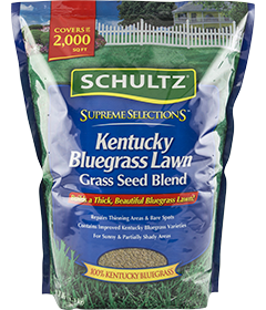 Supreme Selections™ Kentucky Bluegrass Grass Seed Blend