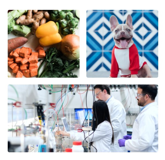 Beneficios de SmartBones