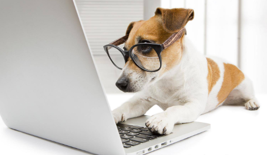 Preguntas Frecuentes