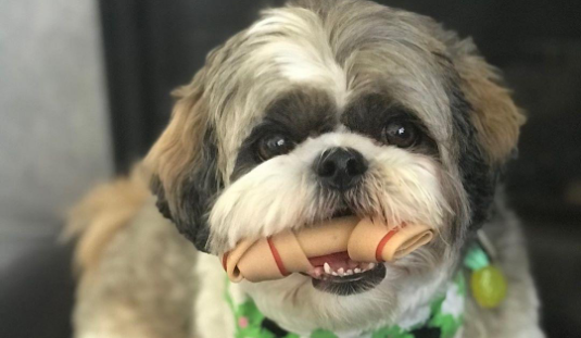 Premios masticables con vitaminas y minerales