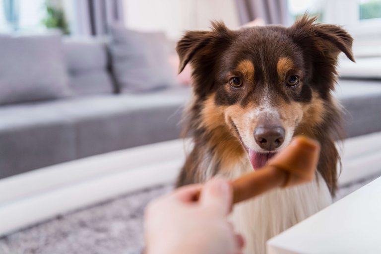  90% de los perros prefieren SmartBones*