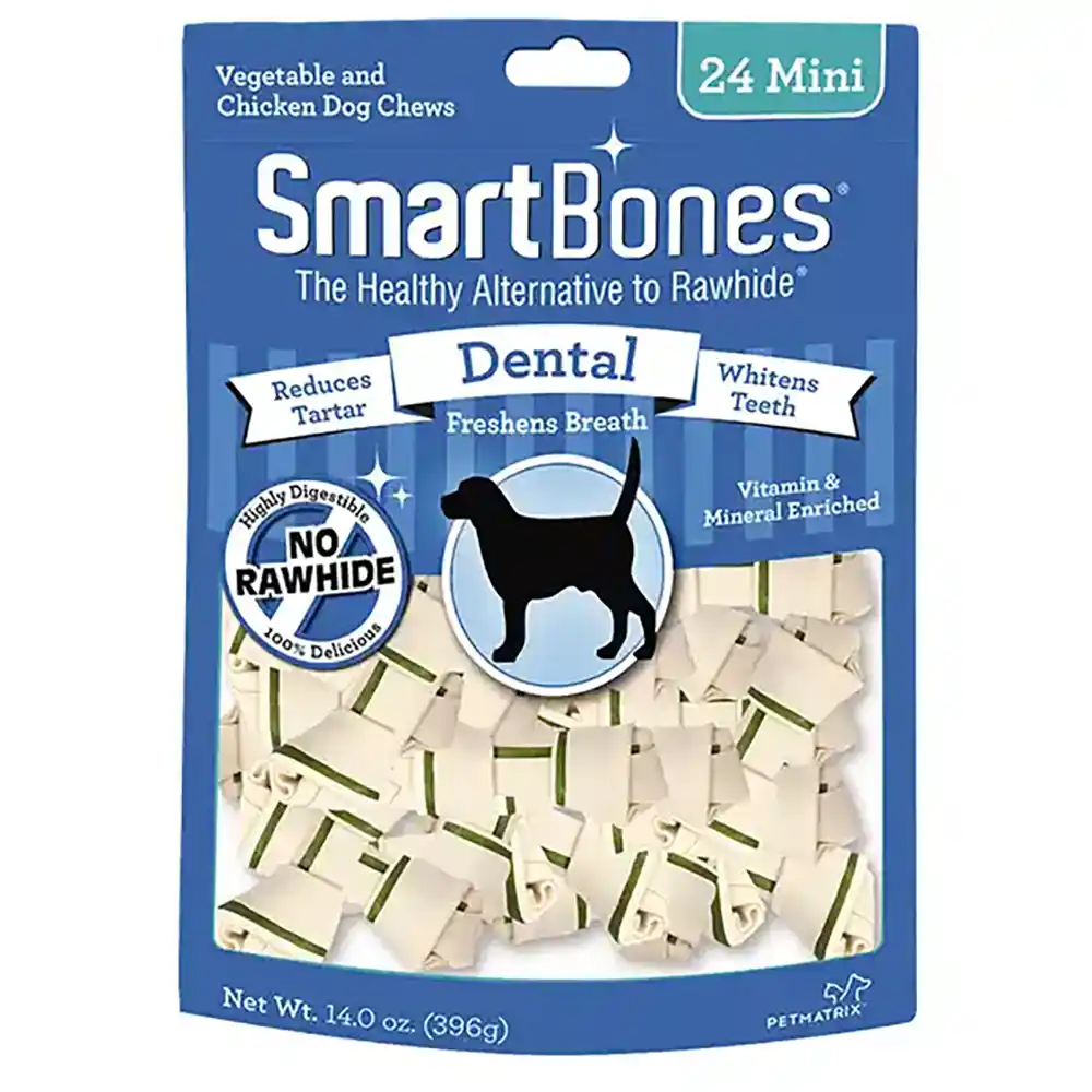 Dental Mini