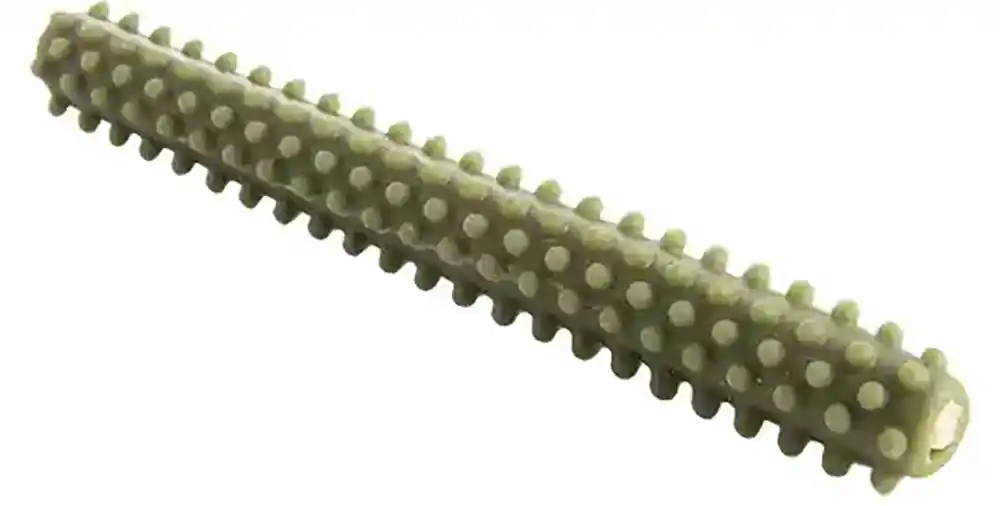 Dental Kelp