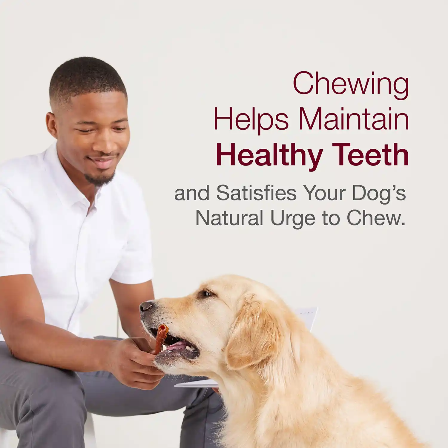 Chewing Helps Maintain Healthy Teeth