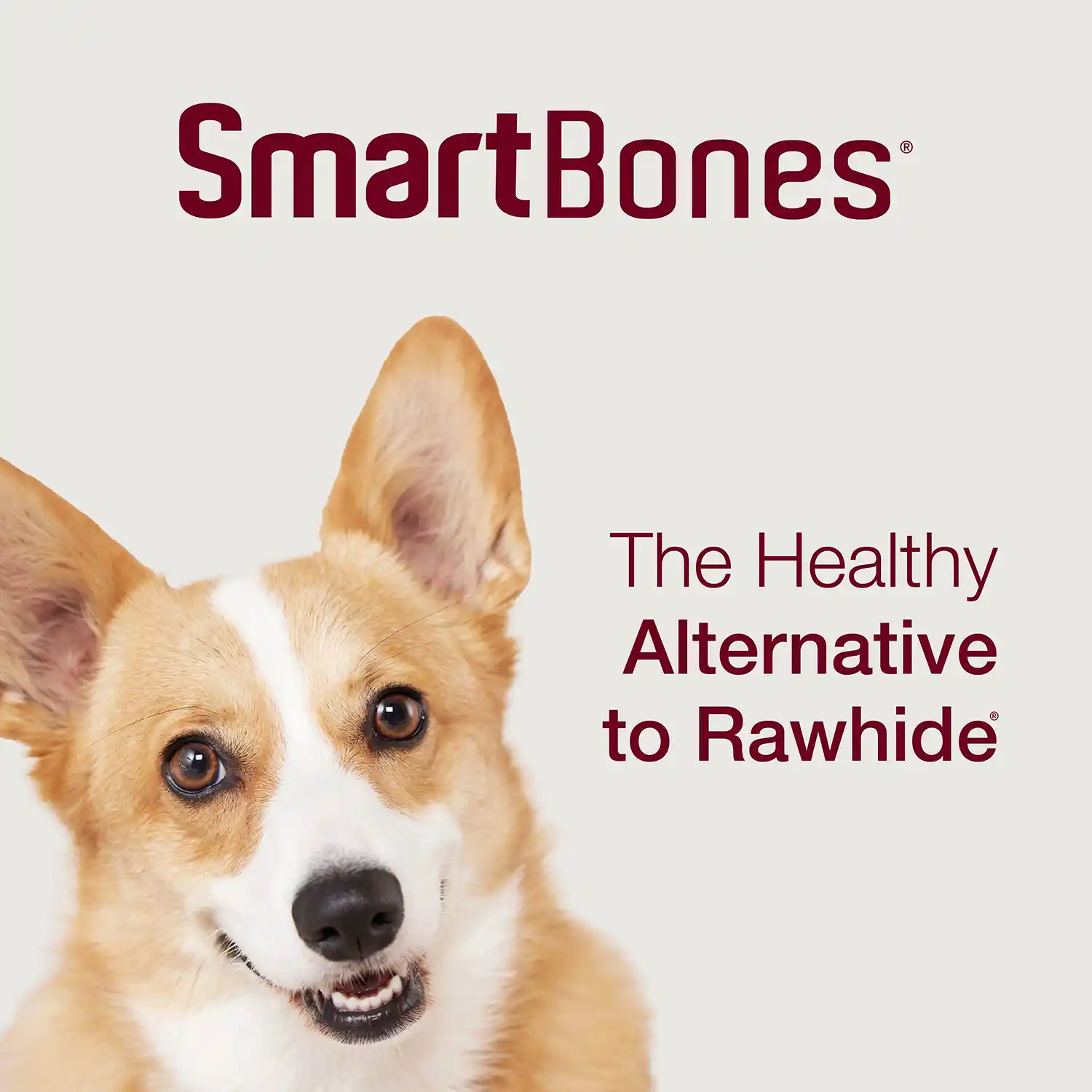 The Healthy Alternative to Rawhide