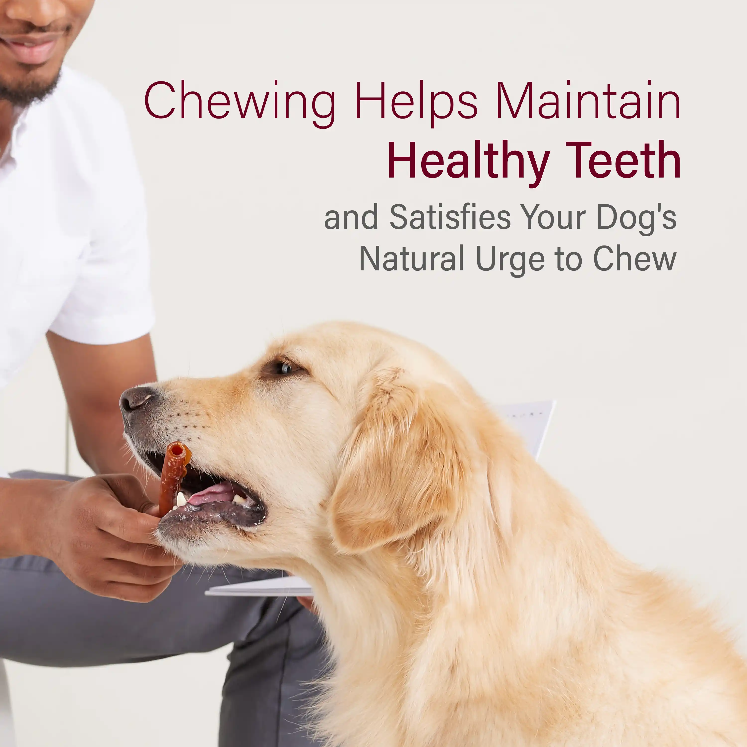 Chewing helps maintain healthy teeth and satisfies your dog's natural urge to chew.