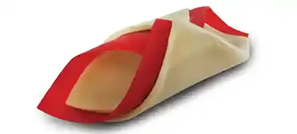 Chicken Chip