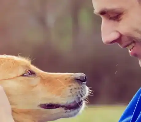 Quality Assurance Mobile