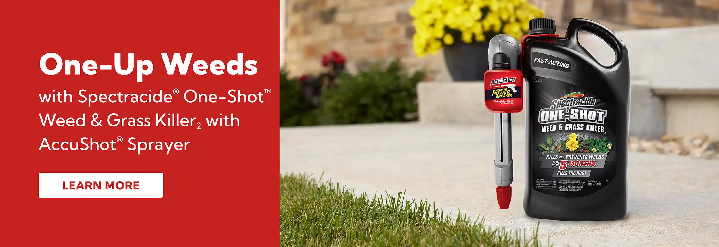 One-Up Weeds, with Spectracide One-Shot Weed & Grass Killer with Accushot Sprayer
