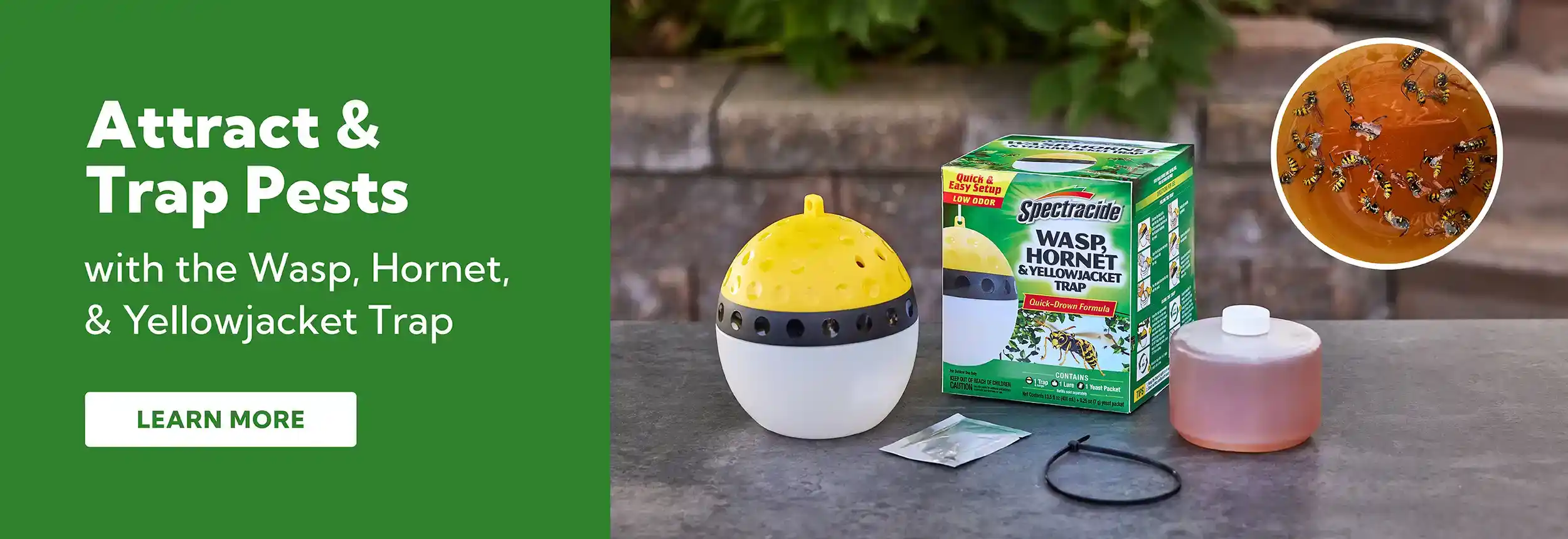 Attract & Trap Pests with Wasp, Hornet, & Yellowjacket Trap - Learn More